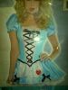 Adult Female Costumes to Hire - Alice - red heart